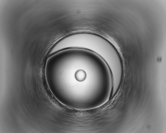 X0000099440105200805161144