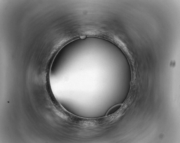 X0000099440106200805161144