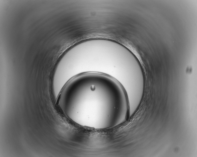 X0000099440109200805161144