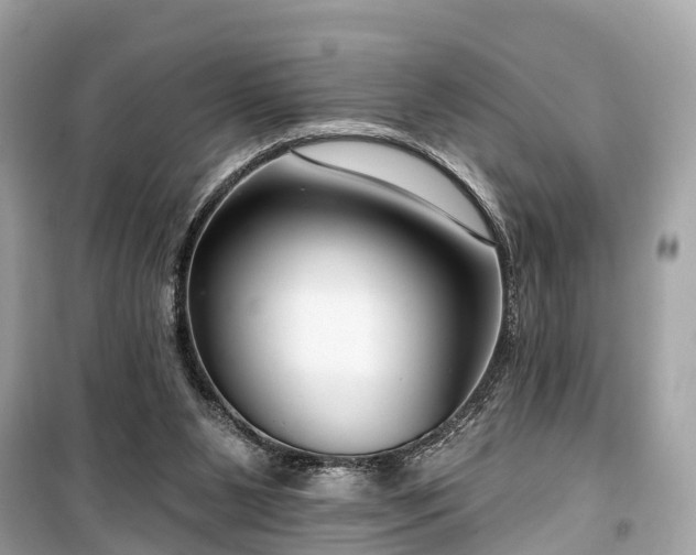 X0000099440111200805161144