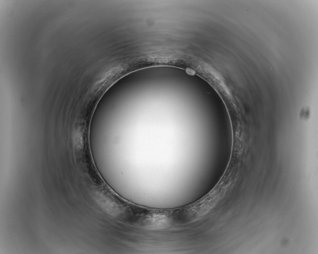 X0000099440114200805161144
