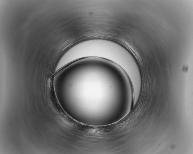 X0000099440117200805161143