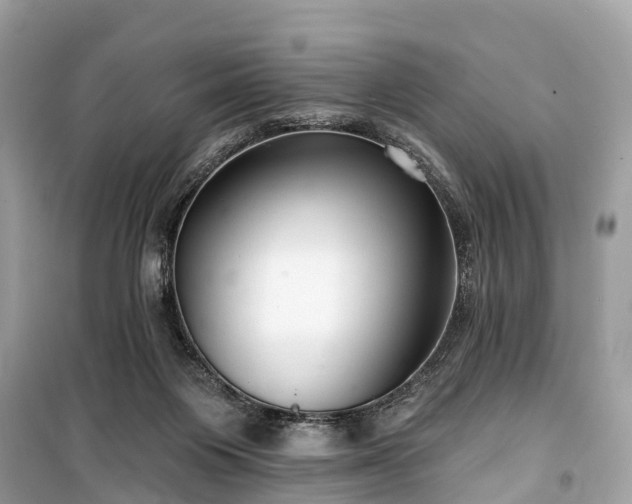 X0000099440119200805161143