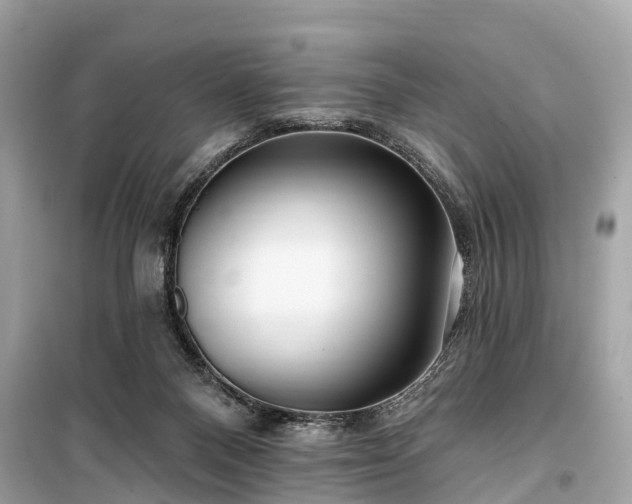 X0000099440120200805161143