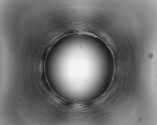 X0000099440121200805161143