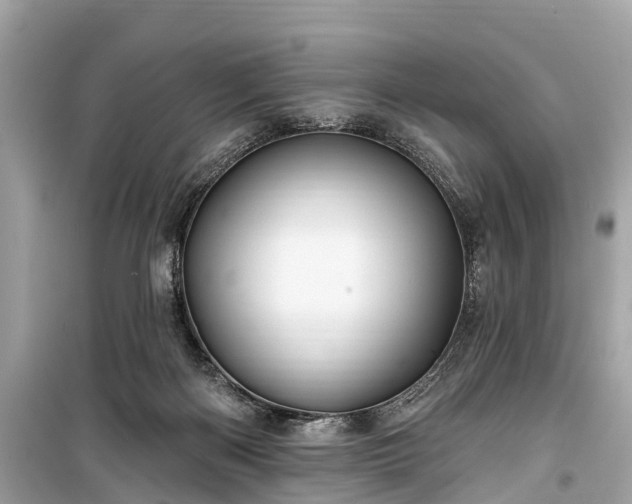 X0000099440122200805161143