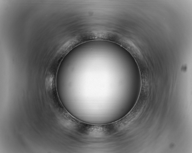 X0000099440123200805161143