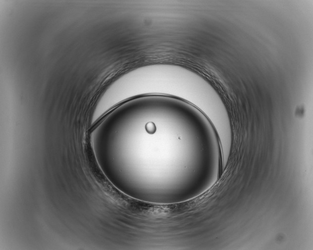 X0000099440124200805161143