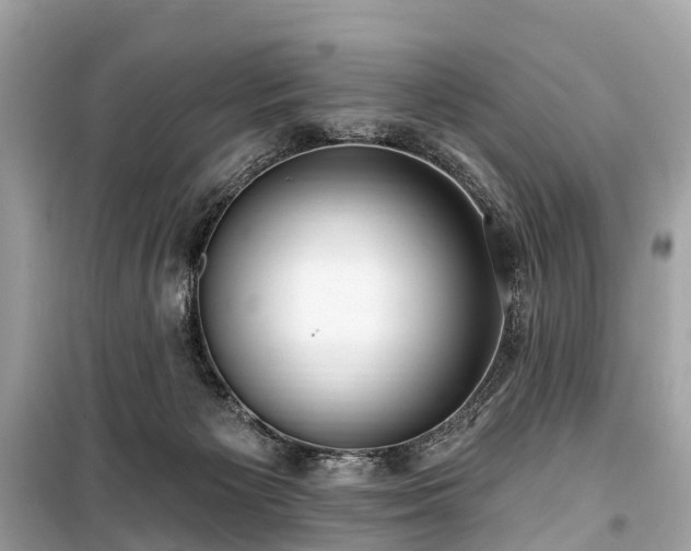X0000099440125200805161143