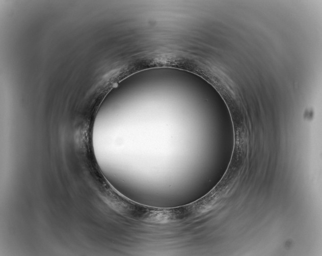 X0000099440127200805161143