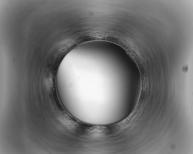 X0000099440128200805161143