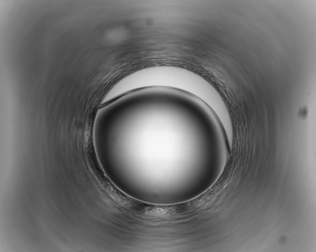 X0000099440129200805161143