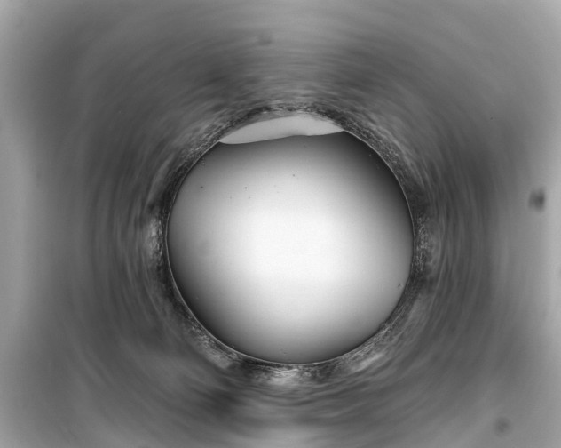 X0000099440130200805161143