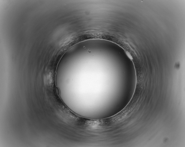 X0000099440131200805161143
