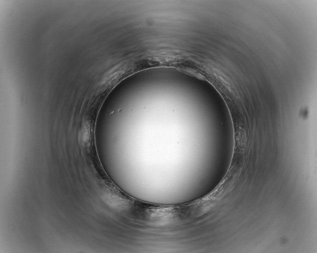 X0000099440132200805161143