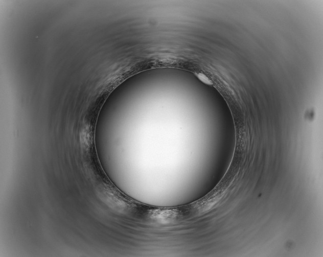 X0000099440135200805161143