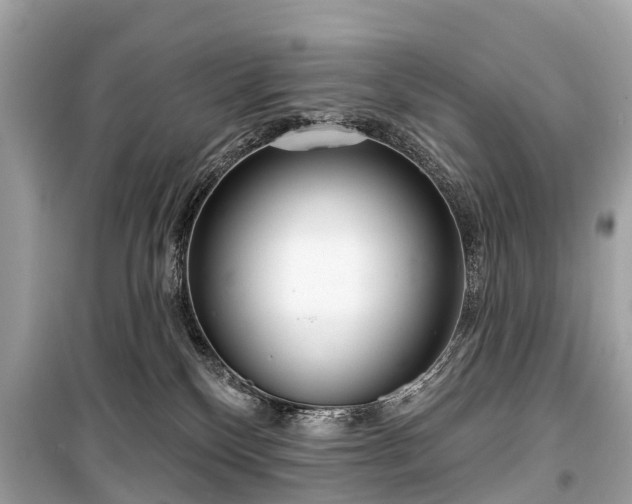 X0000099440136200805161143