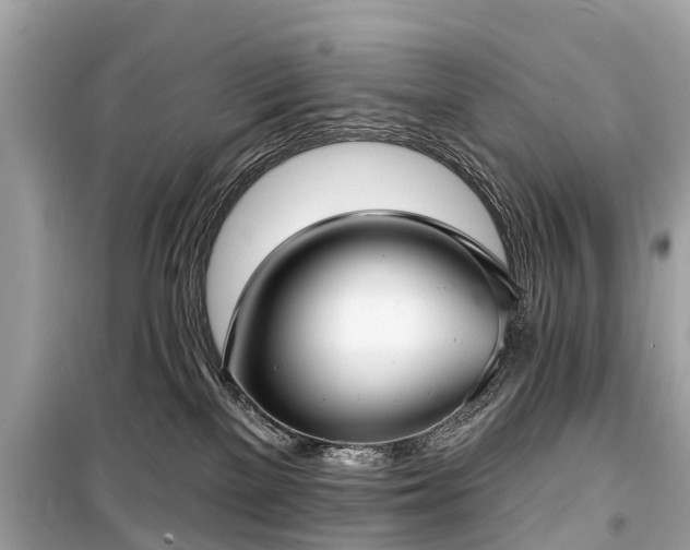 X0000099440137200805161143