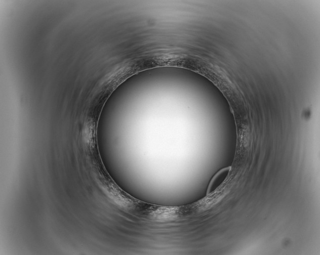 X0000099440138200805161143