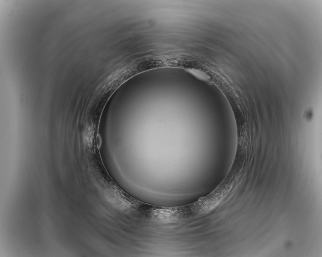 X0000099440139200805161143