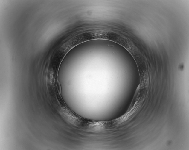 X0000099440140200805161143
