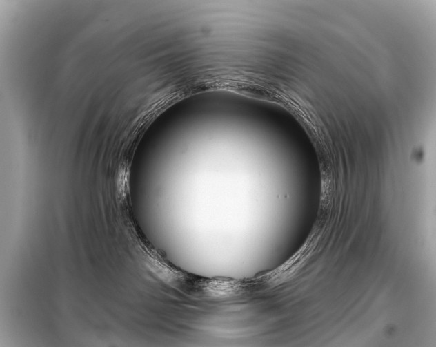 X0000099440142200805161143