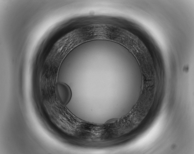 X0000099440143200805161143