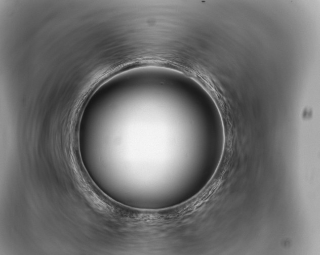 X0000099440145200805161142