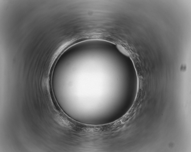 X0000099440147200805161142