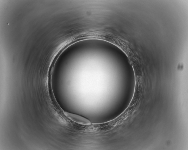 X0000099440148200805161142