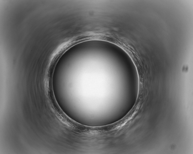 X0000099440149200805161142