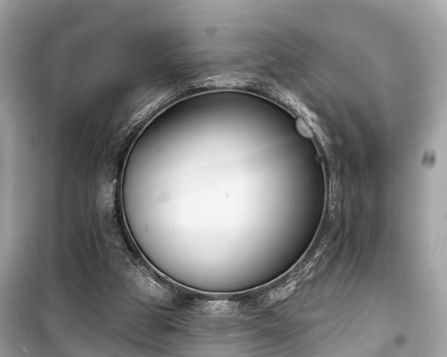 X0000099440153200805161142
