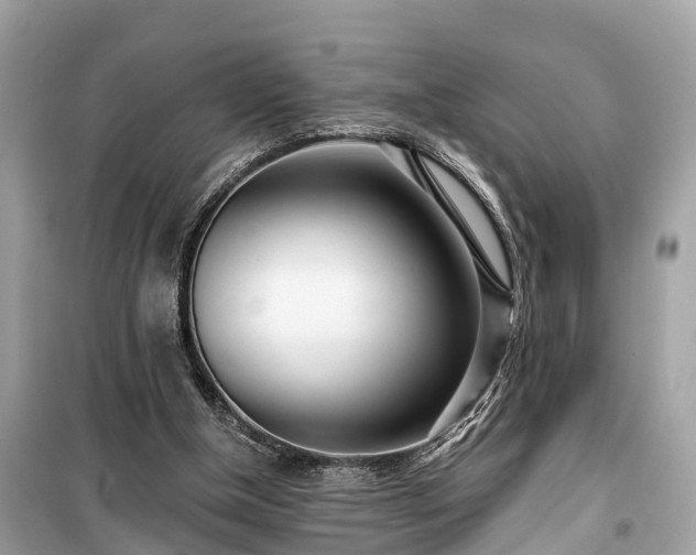 X0000099440154200805161142