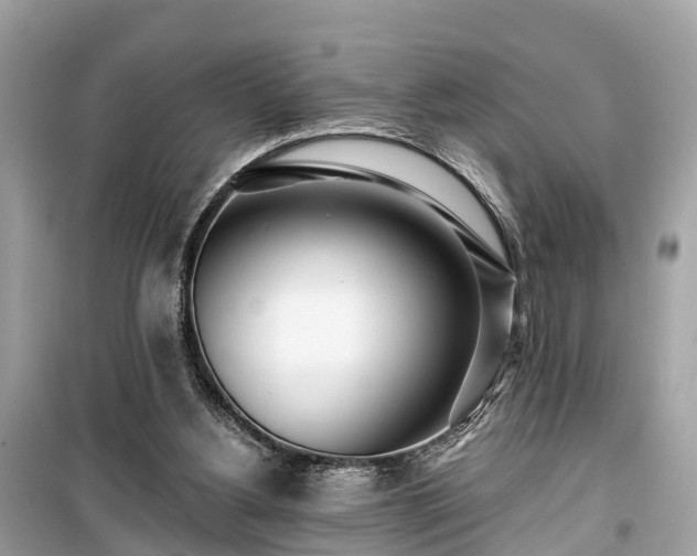 X0000099440156200805161142