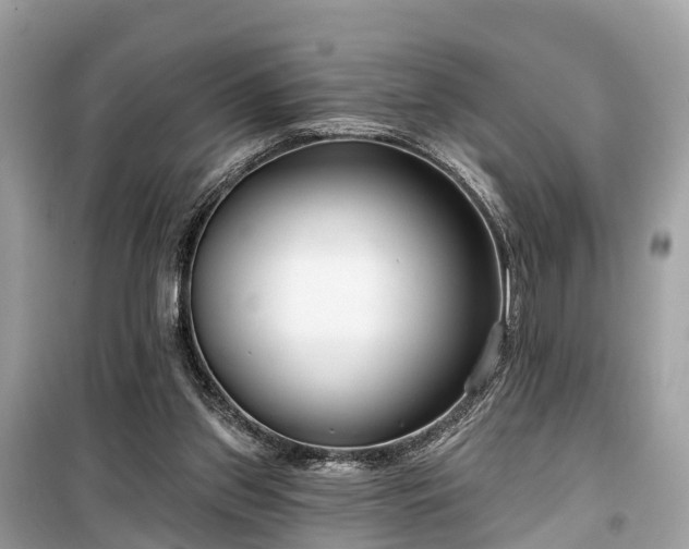 X0000099440157200805161142