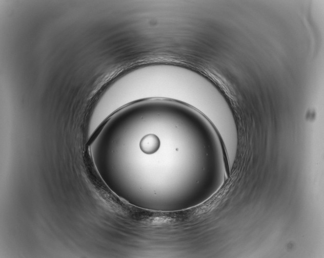 X0000099440158200805161142