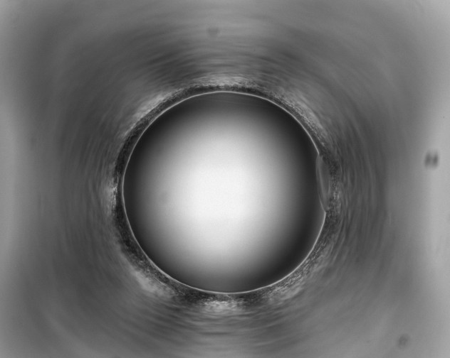 X0000099440160200805161142