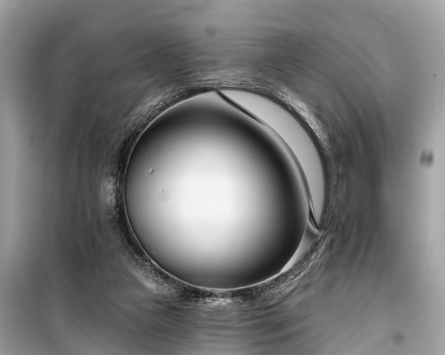 X0000099440161200805161142