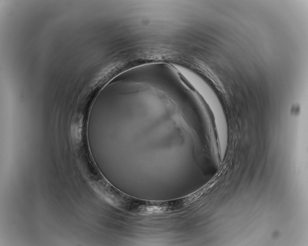 X0000099440163200805161142