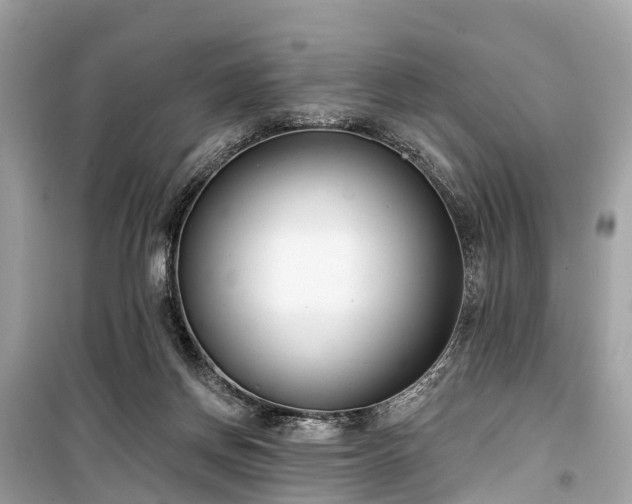 X0000099440166200805161143