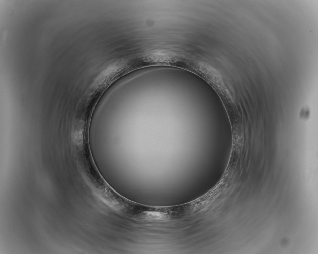 X0000099440167200805161143