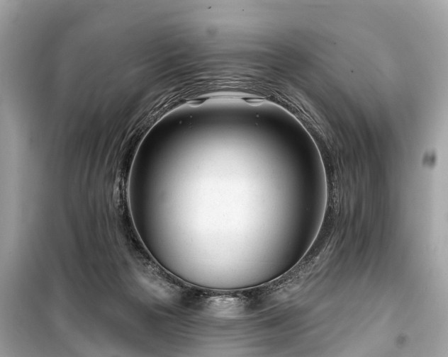 X0000099440169200805161143