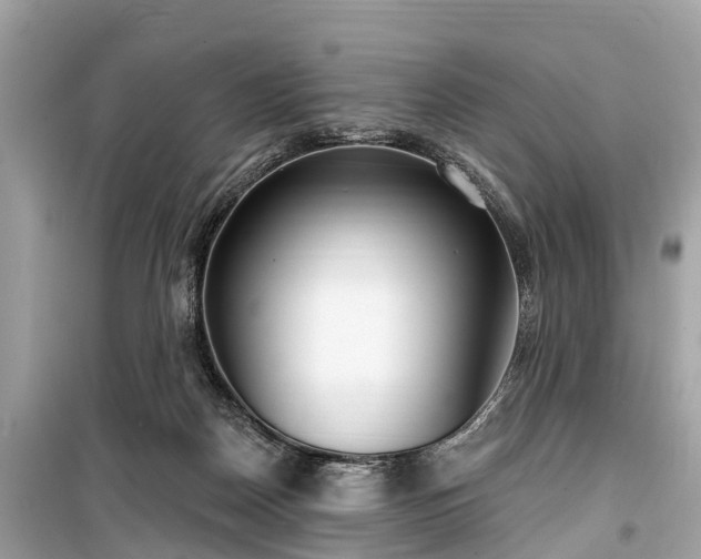 X0000099440170200805161143