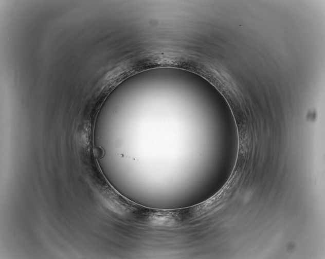 X0000099440175200805161143