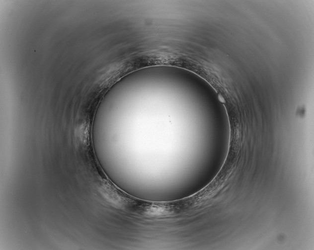 X0000099440177200805161143