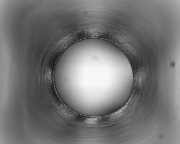 X0000099440178200805161143