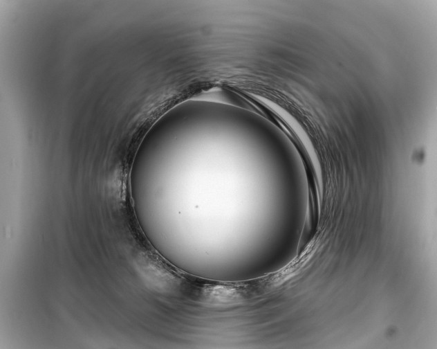 X0000099440180200805161143