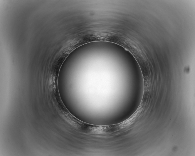 X0000099440182200805161143