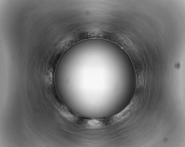 X0000099440183200805161143