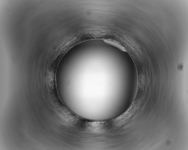 X0000099440184200805161143